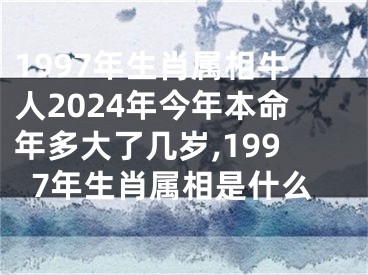 1997年生肖属相牛人2024年今年本命年多大了几岁,1997年生肖属相是什么