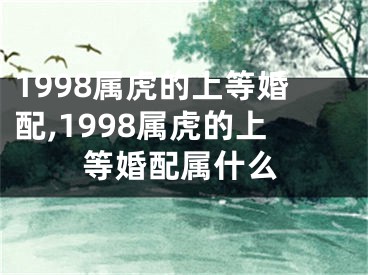 1998属虎的上等婚配,1998属虎的上等婚配属什么