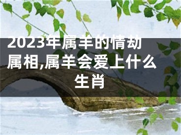 2023年属羊的情劫属相,属羊会爱上什么生肖