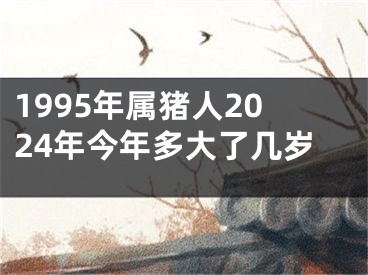 1995年属猪人2024年今年多大了几岁