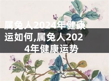 属兔人2024年健康运如何,属兔人2024年健康运势