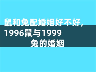 鼠和兔配婚姻好不好,1996鼠与1999兔的婚姻