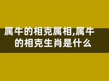 属牛的相克属相,属牛的相克生肖是什么