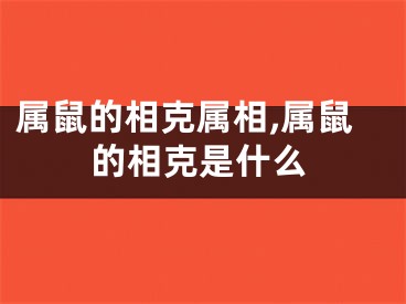 属鼠的相克属相,属鼠的相克是什么