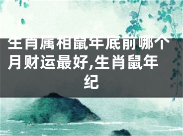 生肖属相鼠年底前哪个月财运最好,生肖鼠年纪