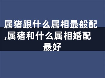 属猪跟什么属相最般配,属猪和什么属相婚配最好