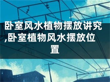 卧室风水植物摆放讲究,卧室植物风水摆放位置