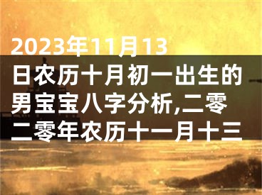 2023年11月13日农历十月初一出生的男宝宝八字分析,二零二零年农历十一月十三