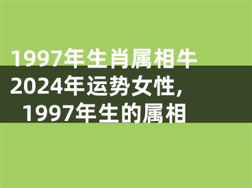 1997年生肖属相牛2024年运势女性,1997年生的属相