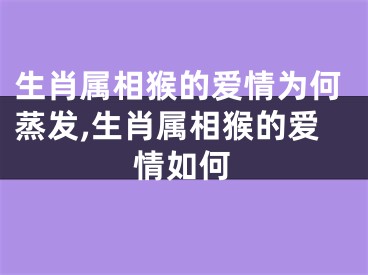 生肖属相猴的爱情为何蒸发,生肖属相猴的爱情如何