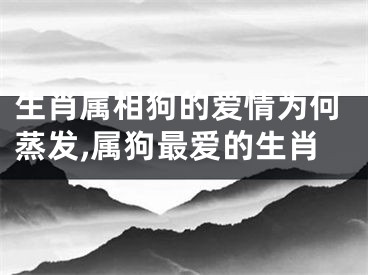 生肖属相狗的爱情为何蒸发,属狗最爱的生肖