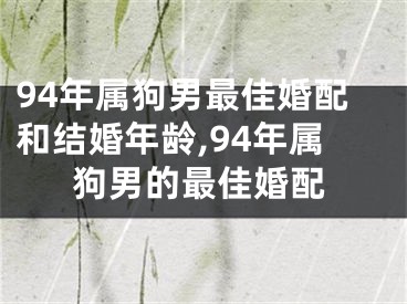 94年属狗男最佳婚配和结婚年龄,94年属狗男的最佳婚配