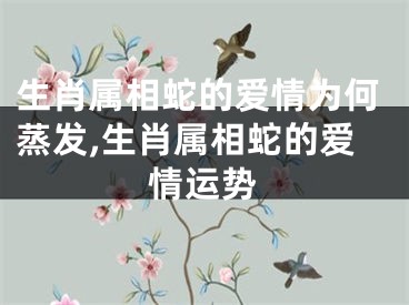 生肖属相蛇的爱情为何蒸发,生肖属相蛇的爱情运势