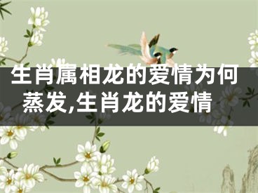 生肖属相龙的爱情为何蒸发,生肖龙的爱情