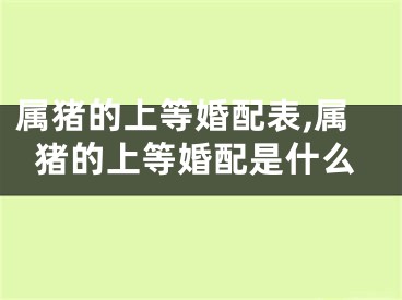 属猪的上等婚配表,属猪的上等婚配是什么