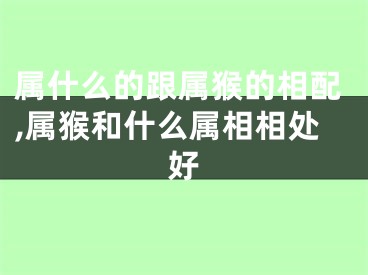 属什么的跟属猴的相配,属猴和什么属相相处好