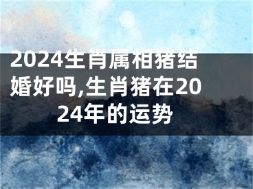 2024生肖属相猪结婚好吗,生肖猪在2024年的运势