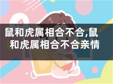 鼠和虎属相合不合,鼠和虎属相合不合亲情