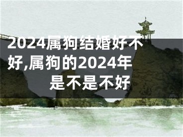 2024属狗结婚好不好,属狗的2024年是不是不好