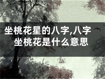 坐桃花星的八字,八字坐桃花是什么意思