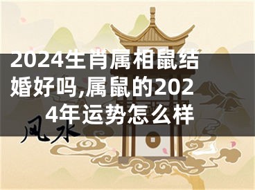 2024生肖属相鼠结婚好吗,属鼠的2024年运势怎么样