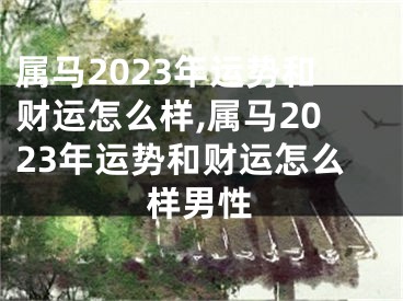 属马2023年运势和财运怎么样,属马2023年运势和财运怎么样男性