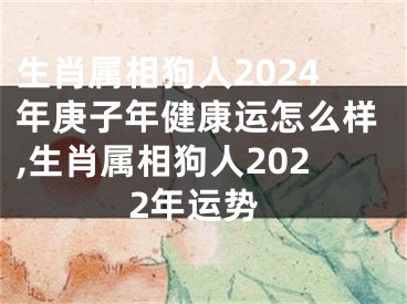 生肖属相狗人2024年庚子年健康运怎么样,生肖属相狗人2022年运势