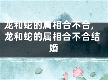 龙和蛇的属相合不合,龙和蛇的属相合不合结婚