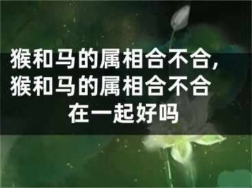 猴和马的属相合不合,猴和马的属相合不合 在一起好吗