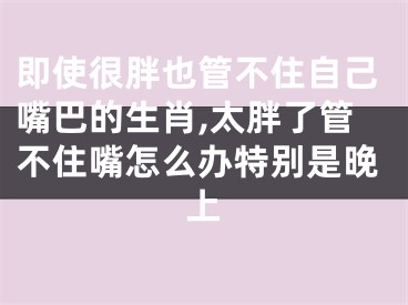 即使很胖也管不住自己嘴巴的生肖,太胖了管不住嘴怎么办特别是晚上