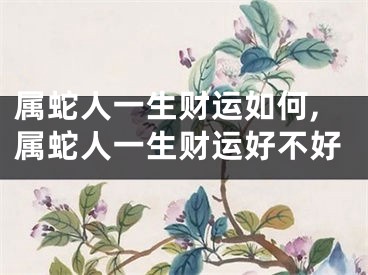 属蛇人一生财运如何,属蛇人一生财运好不好