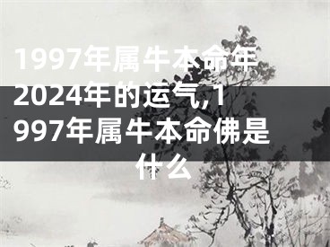 1997年属牛本命年2024年的运气,1997年属牛本命佛是什么