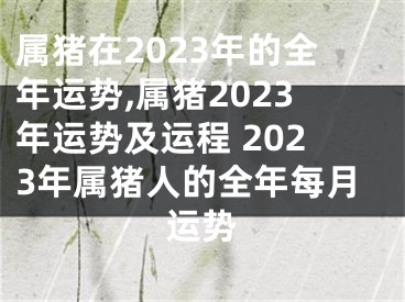 属猪在2023年的全年运势,属猪2023年运势及运程 2023年属猪人的全年每月运势