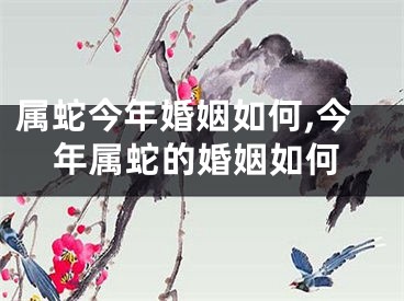 属蛇今年婚姻如何,今年属蛇的婚姻如何