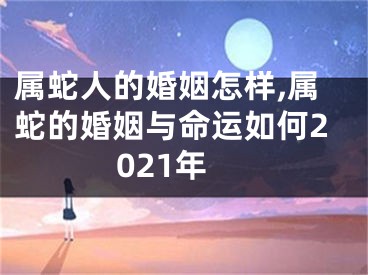 属蛇人的婚姻怎样,属蛇的婚姻与命运如何2021年