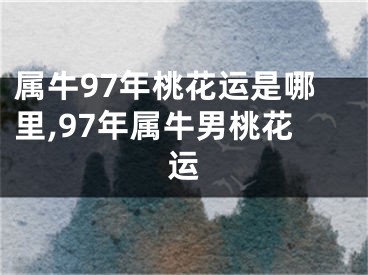 属牛97年桃花运是哪里,97年属牛男桃花运