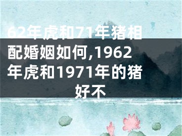 62年虎和71年猪相配婚姻如何,1962年虎和1971年的猪好不