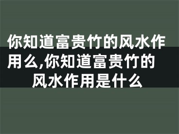 你知道富贵竹的风水作用么,你知道富贵竹的风水作用是什么