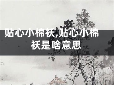 贴心小棉袄,贴心小棉袄是啥意思