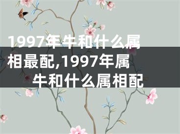 1997年牛和什么属相最配,1997年属牛和什么属相配