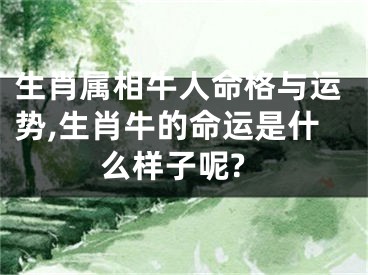 生肖属相牛人命格与运势,生肖牛的命运是什么样子呢?