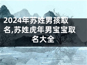 2024年苏姓男孩取名,苏姓虎年男宝宝取名大全