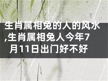 生肖属相兔的人的风水,生肖属相兔人今年7月11日出门好不好