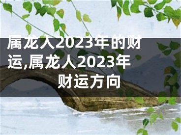 属龙人2023年的财运,属龙人2023年财运方向