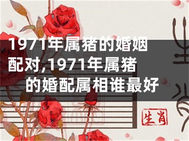 1971年属猪的婚姻配对,1971年属猪的婚配属相谁最好