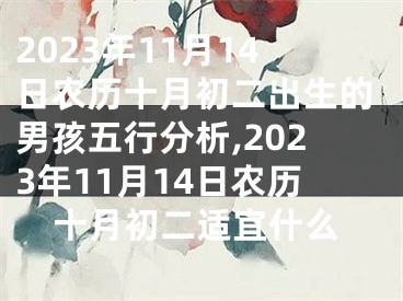 2023年11月14日农历十月初二出生的男孩五行分析,2023年11月14日农历十月初二适宜什么