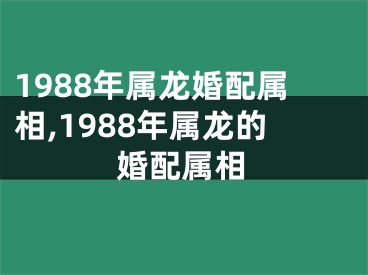 1988年属龙婚配属相,1988年属龙的婚配属相