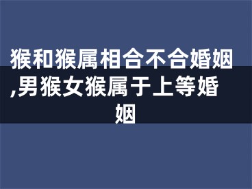 猴和猴属相合不合婚姻,男猴女猴属于上等婚姻