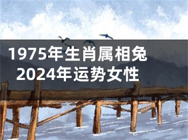 1975年生肖属相兔2024年运势女性