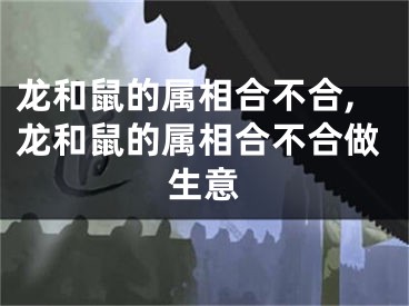 龙和鼠的属相合不合,龙和鼠的属相合不合做生意